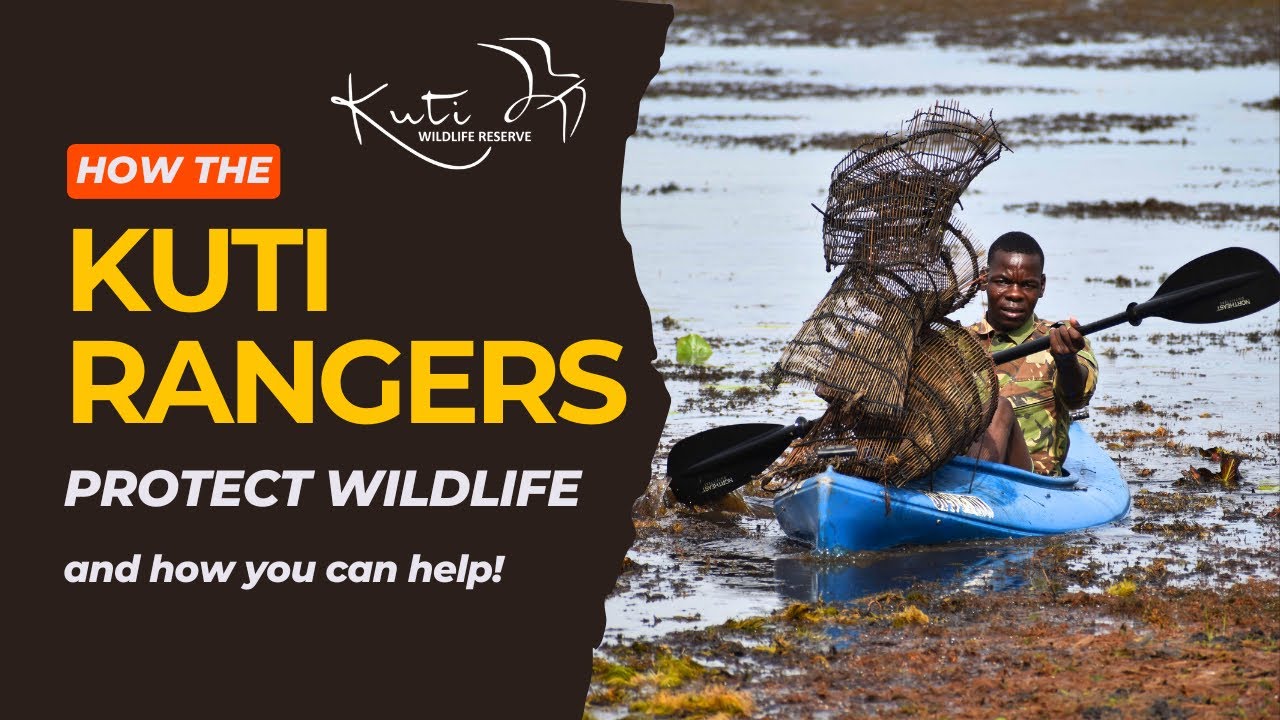 Launching the Kuti Ranger Academy!