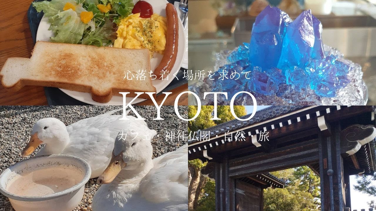 【京都】自然の造形美を感じるスイーツが不思議で美味しい！かわいいアヒルに癒やされたり、信じられないくらいお財布に優しいうどん屋さんであったまった冬の京都時間
