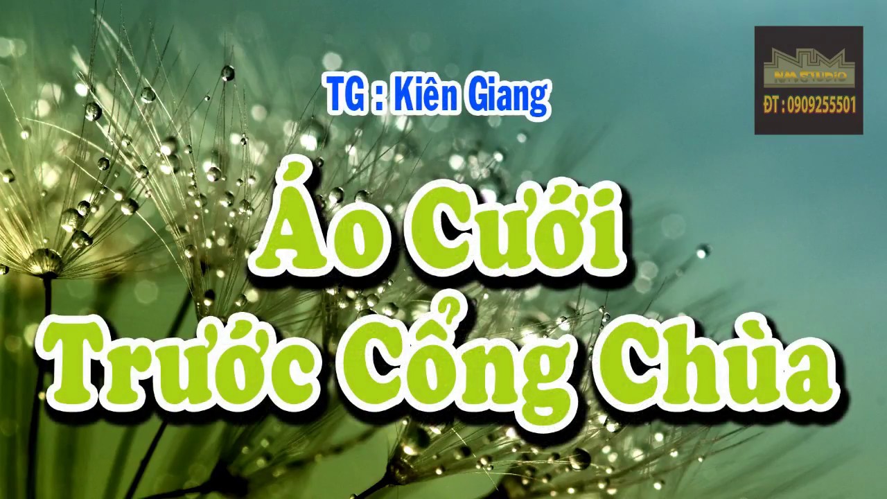 Áo Cưới Trước Cổng Chùa Karaoke | Dây Đào - Beat Trích Đoạn