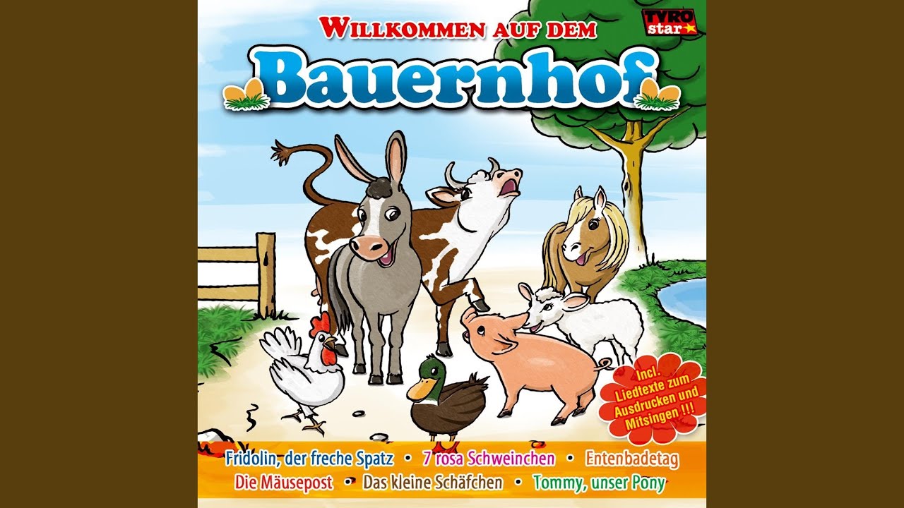 Das kleine Schäfchen (Radio Version)