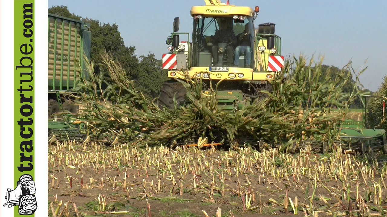 Maishäckseln 2015 - LU Huning aus Vreden - Krone BiGX 700 - chopping corn / mais hakselen