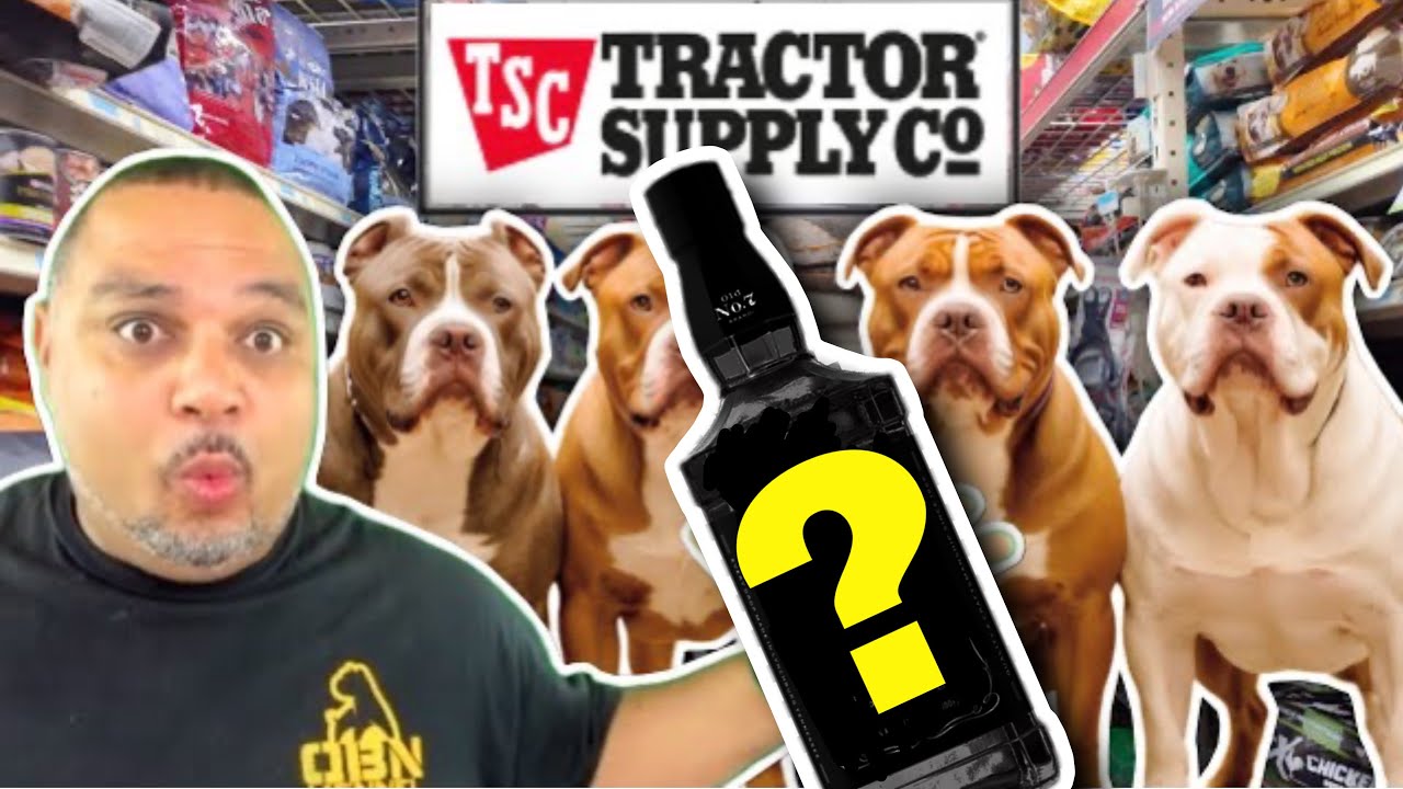 Must Have Tractor Supply Items Your Dog Will LOVE!