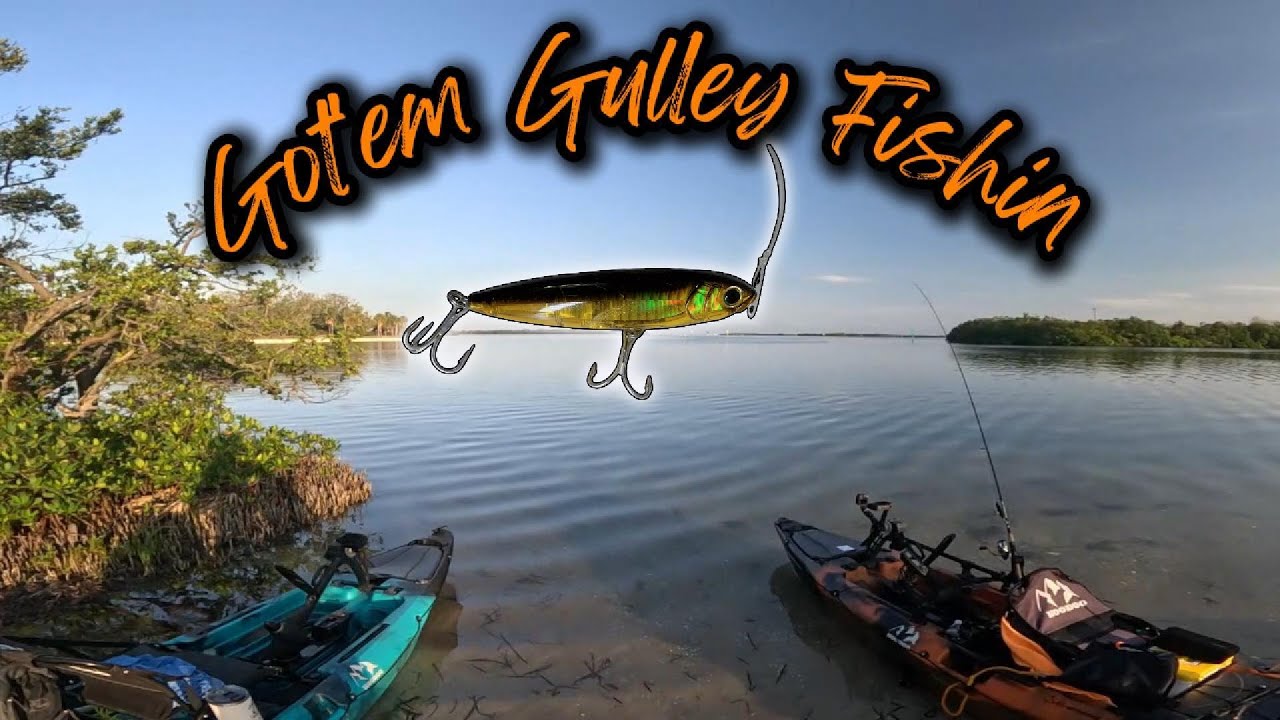 Topwater Fun! Slot After Slot Fishing the Flats in Tampa Bay/ Fort De Soto!
