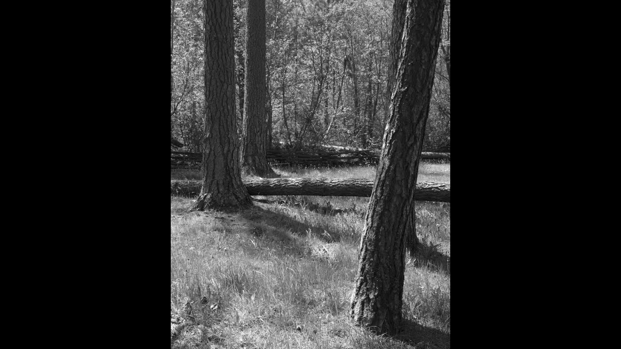 Chamonix 4x5 Film Holders