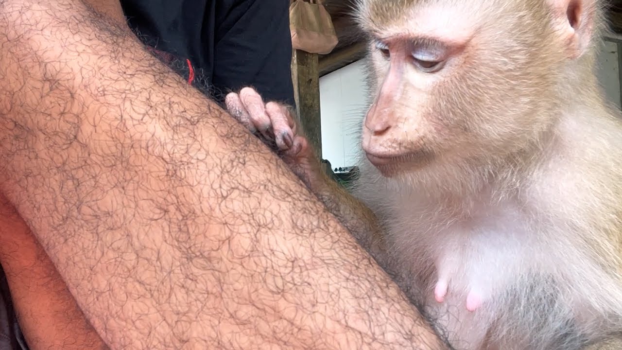 Good Zueii Really Love To Grooming My Legs Is So Nice Lip Sound