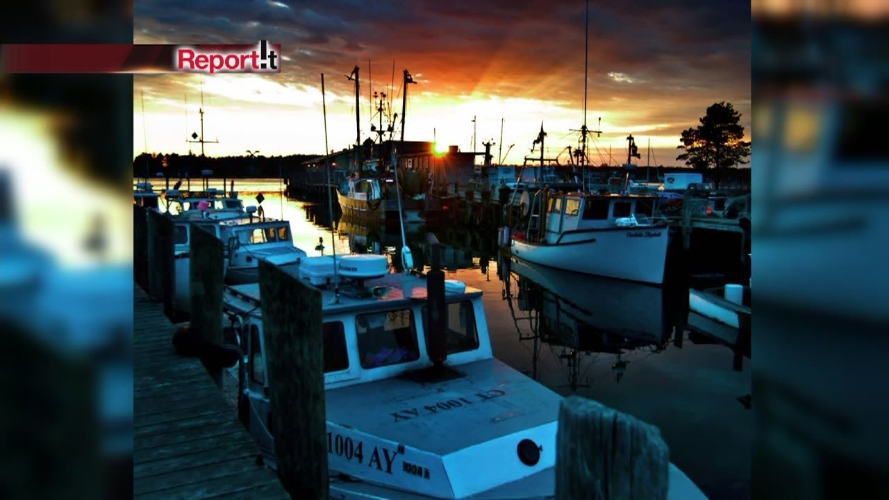 Report It Recap - May 10, 2013