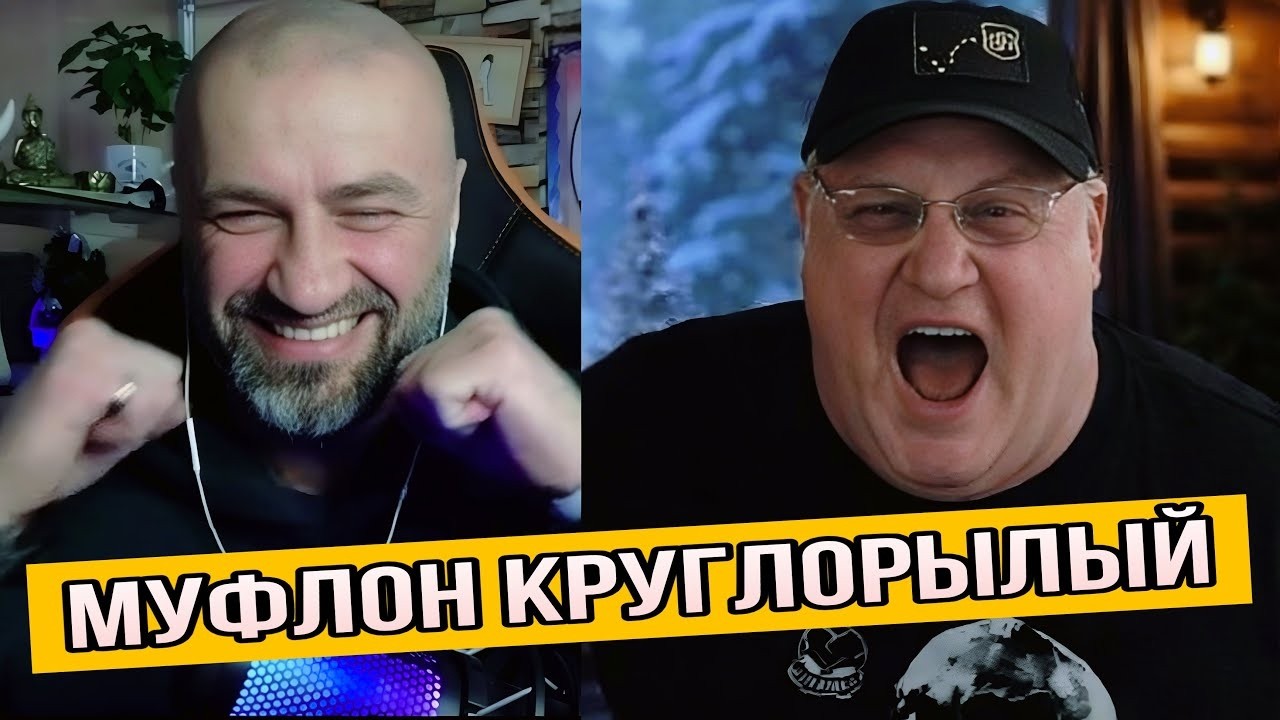 МУФЛОН РАЗБУШЕВАЛСЯ