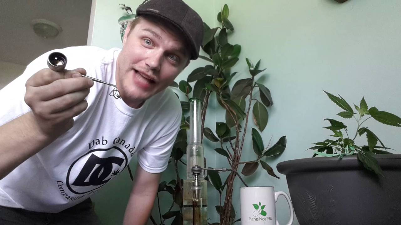 Dab Canada dab art big ass rip.  Morning! I'm going back to bed ;-)