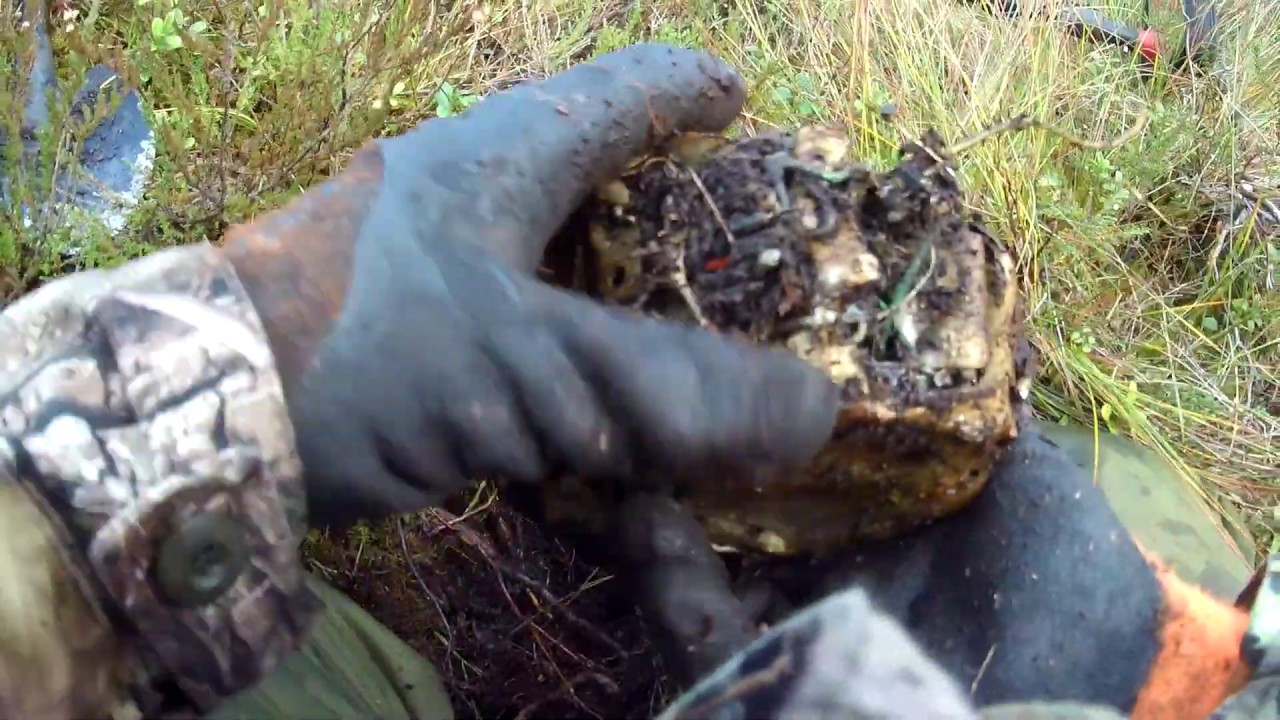 What could it be ? RAF WW2 aircraft crash site found.