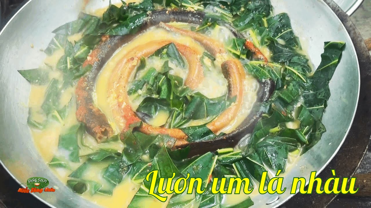 LƯƠN UM LÁ NHÀU chấm NƯỚC MẮM THẤM và những MÓN NGON TỪ RAU DẠI | Đặc sản miền sông nước