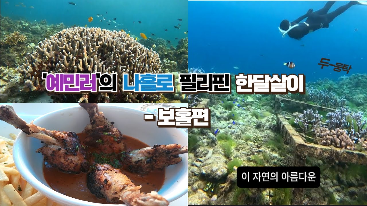 '예민러'의 나홀로 필리핀 한달살이 [보홀편] 인천공항 | 알로나비다비치힐 리조트 | 팡라오씨 리조트 스노클링 | 나팔링 프리다이빙