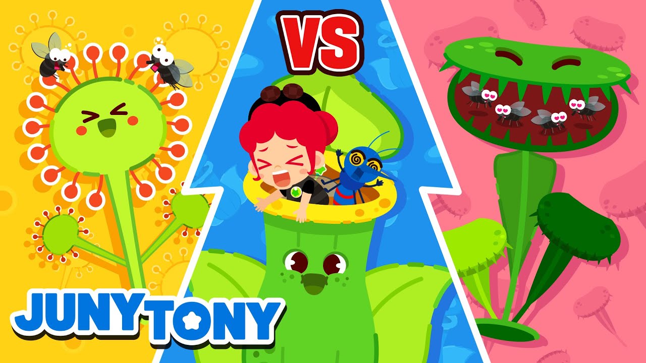 Competição de Plantas Carnívoras | Planta Come Insetos | Música Infantil | JunyTony em Português