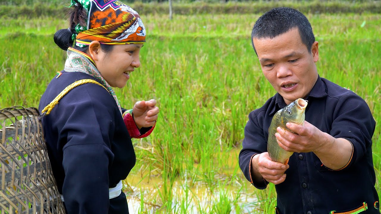 Dwarf Family Catches Fish in the Fields After the Harvest and Preserves Using Primitive Methods
