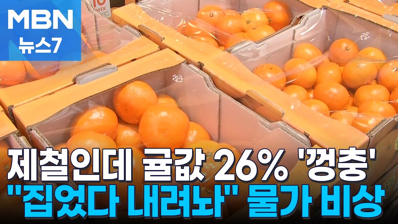 제철인데 귤값 26% '껑충'&hellip;고환율도 겹쳐 연말 물가 비상 [MBN 뉴스7]
