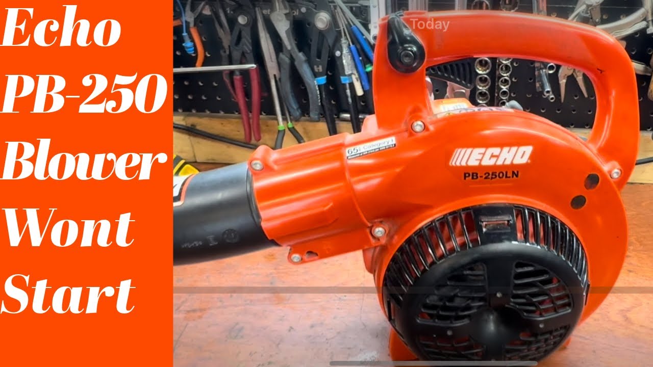 Echo leaf blower won’t start, not the carb