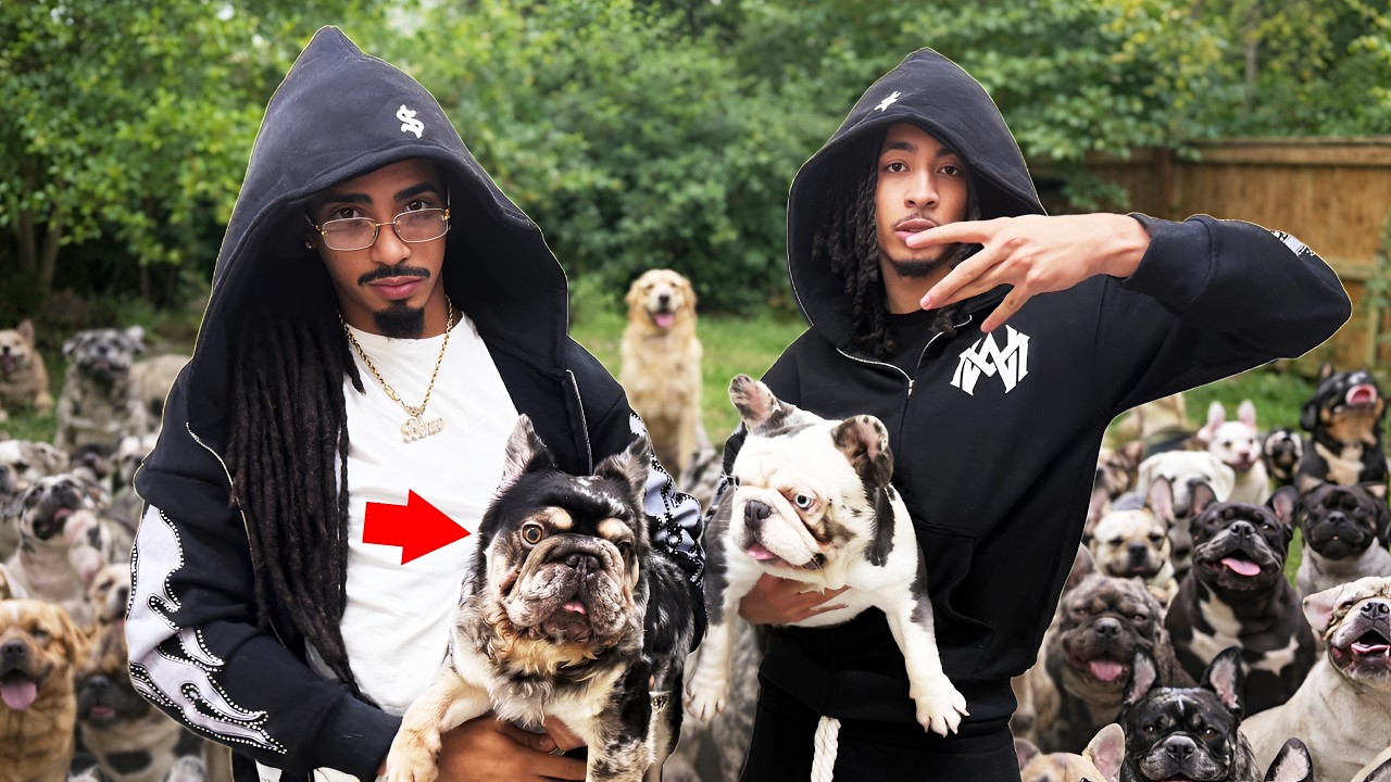 THE TRUTH ABOUT EXOTIC FRENCH BULLDOGS