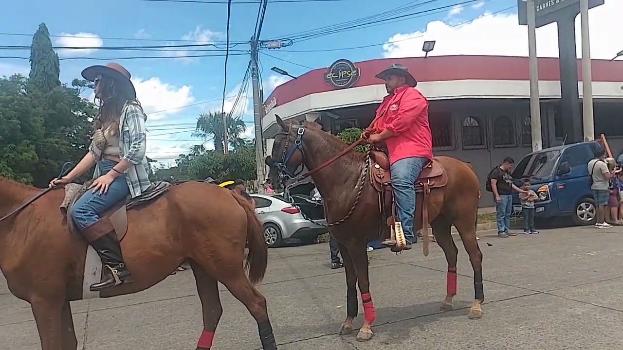 Desfile hípico de la feria ganadera 2024 .