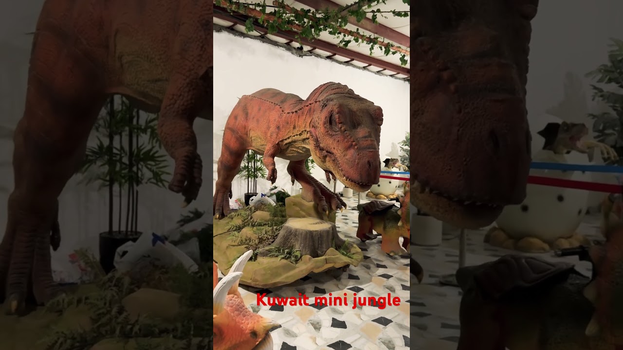 Kuwait little jungle #kuwait #little jungle #familyvlog #kids
