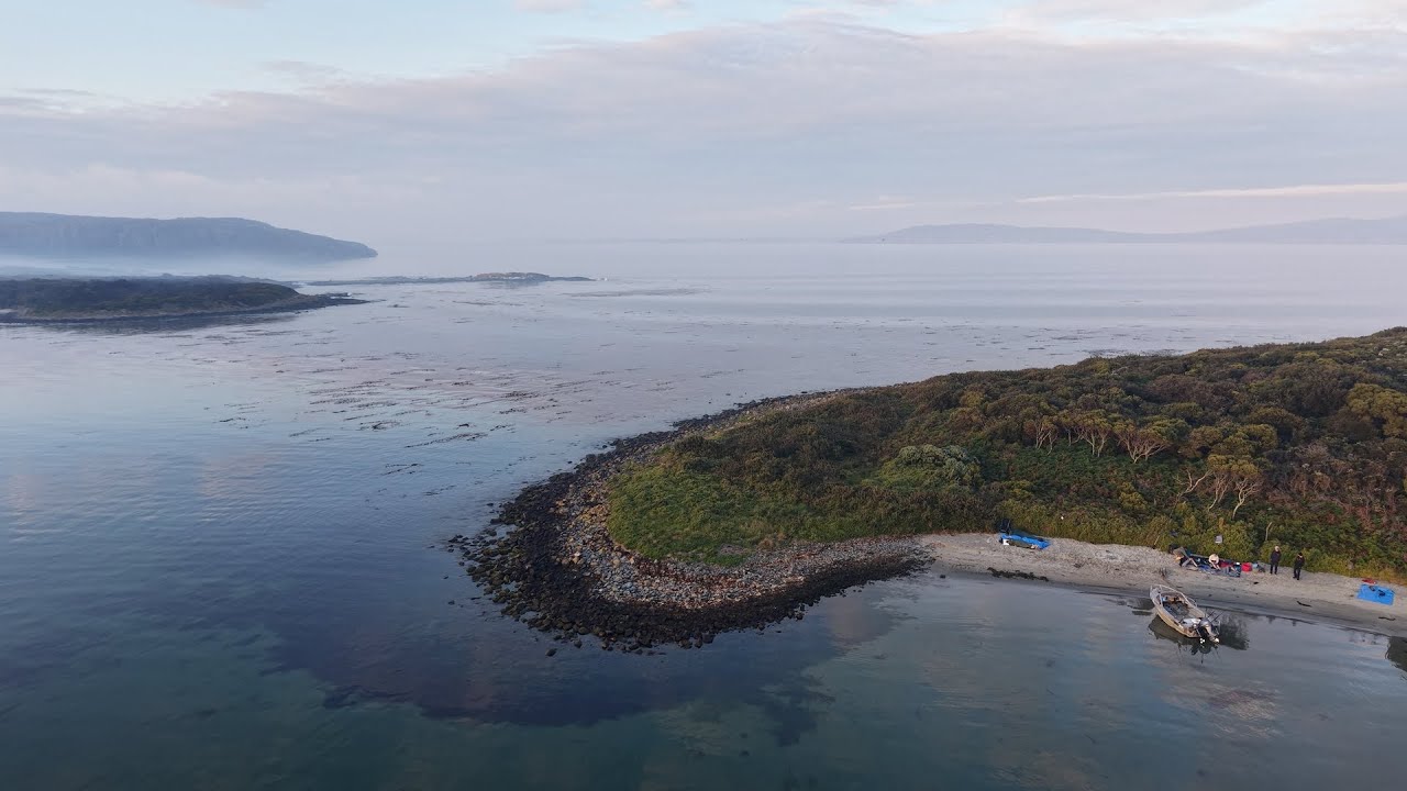 WILD Bruny Island!! (BUSHFIRE, night dive, big LOBSTERS)!
