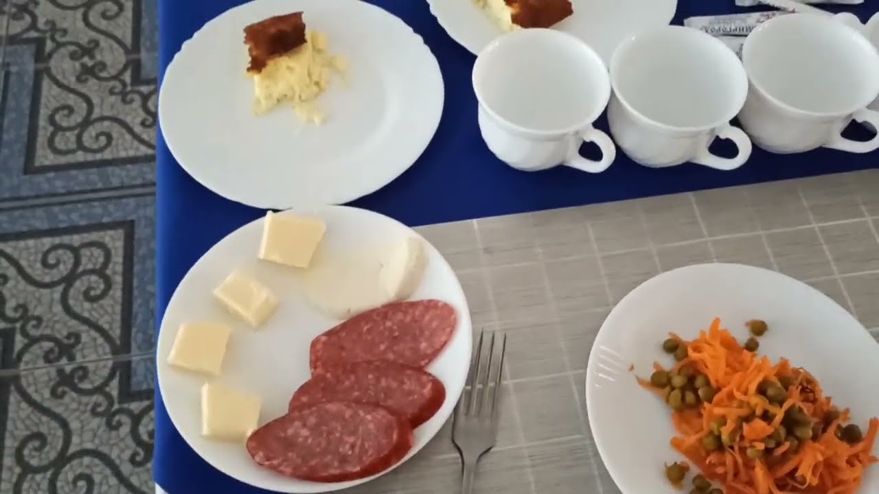 ЧЕМ КОРМЯТ #БЕРЕЗОВЫЙ ГАЙ.МИРГОРОД