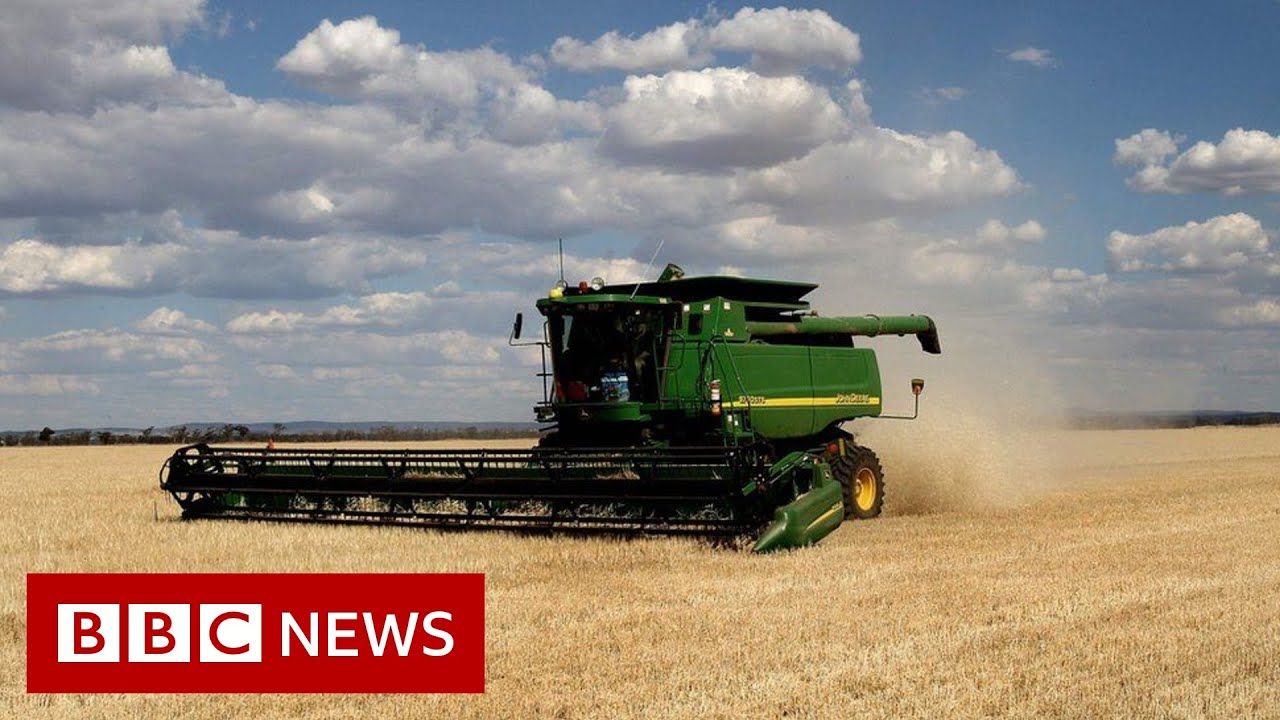 Australia launches WTO appeal against China's barley tariff - BBC News