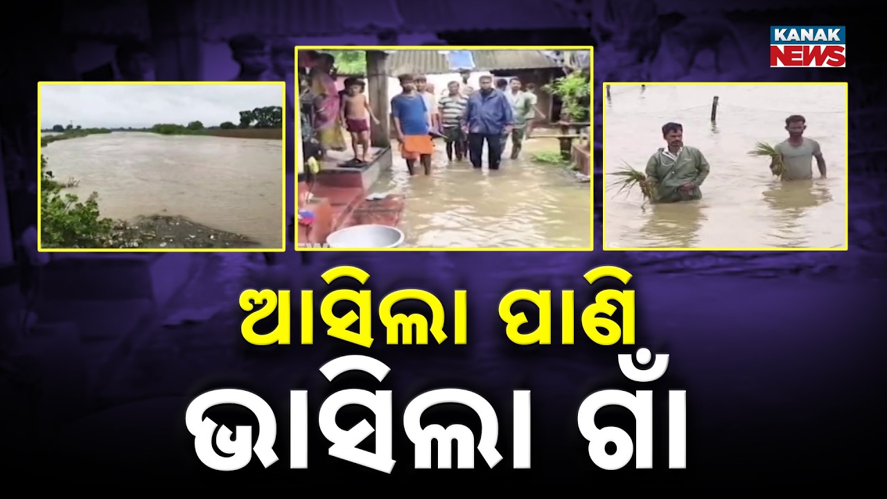 Reporter Live: Flood Situation in Bhadrak | Dhamnagar & Bhandaripokhari Affected by Rain