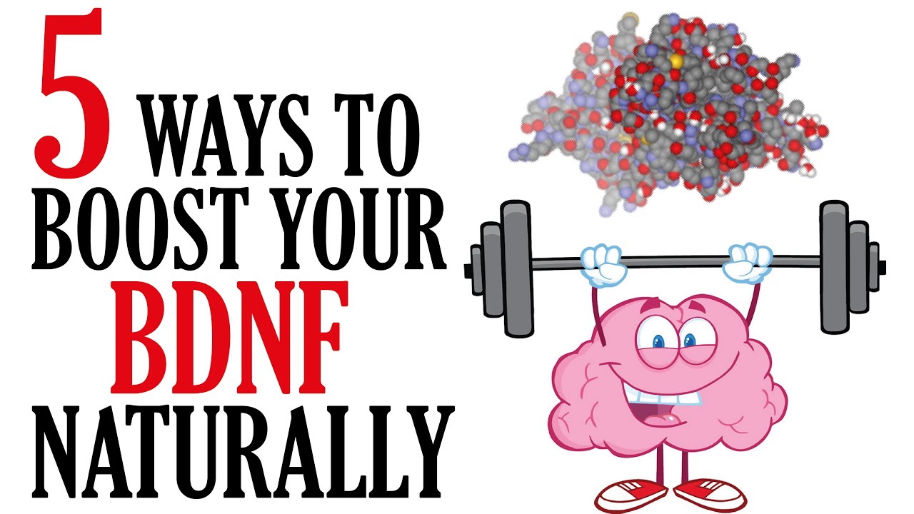 How to Increase BDNF Naturally | Boost Brain Power