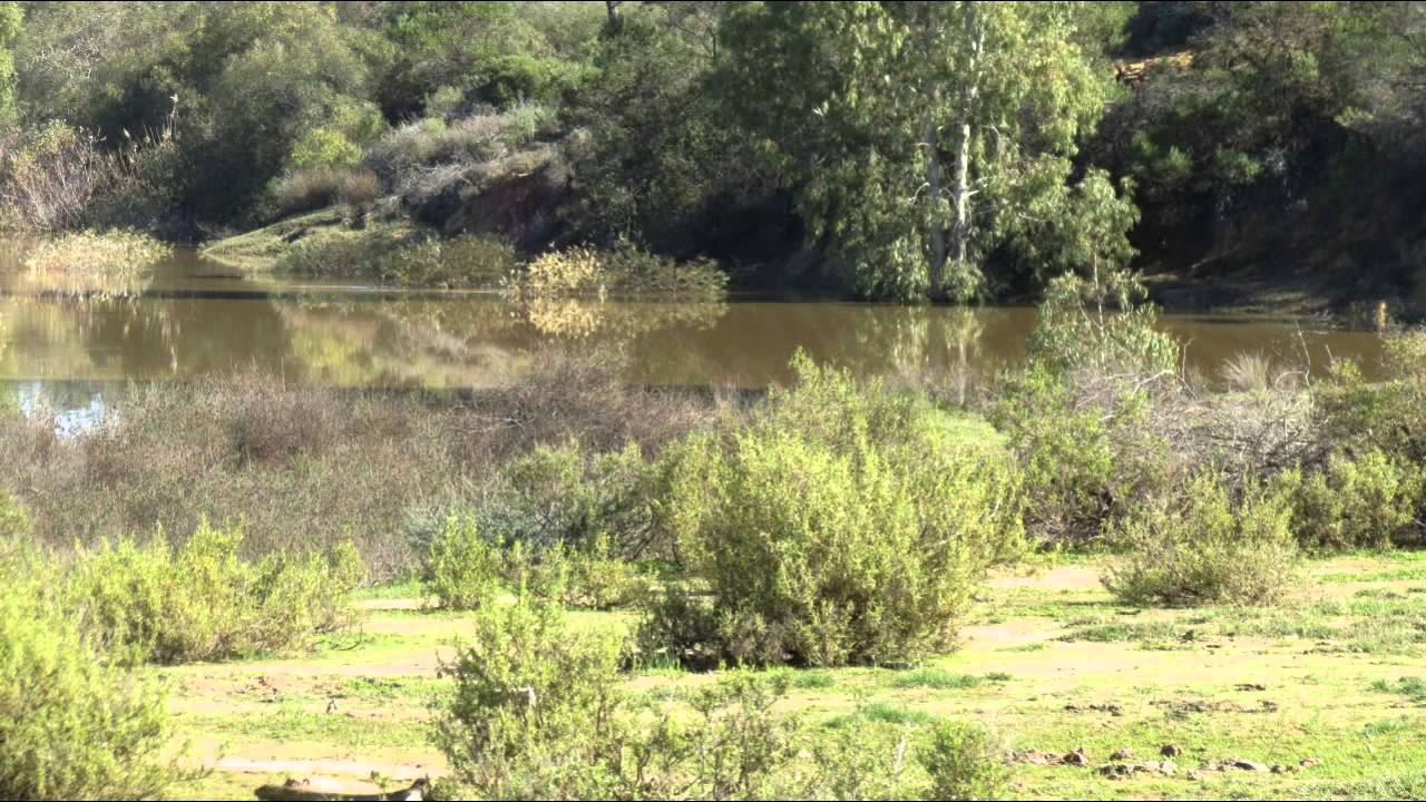 Farm for sale Western Cape South Africa | AGF0053