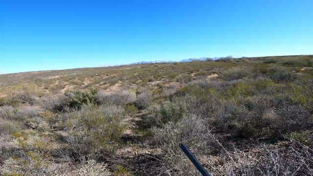 Gamble Qauil Single Flush miss