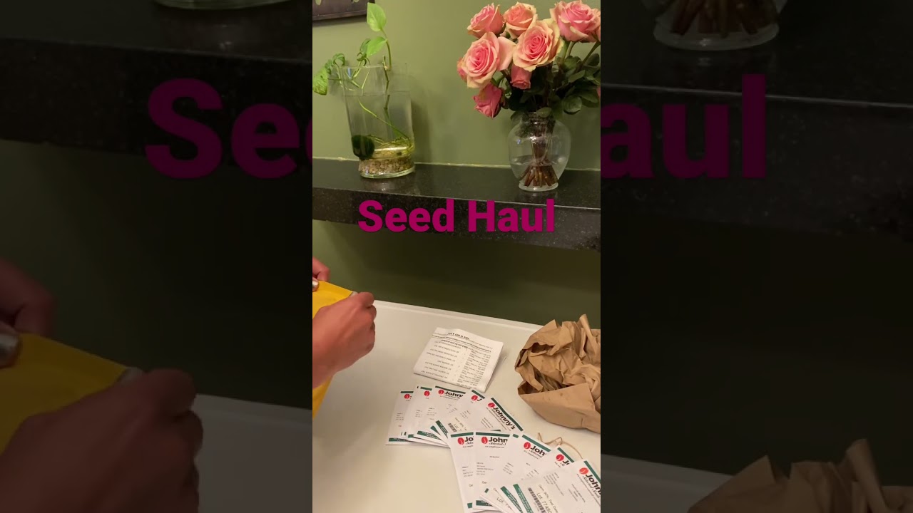SPRING FEVER | first signs of spring and first seed haul #seeds #garden