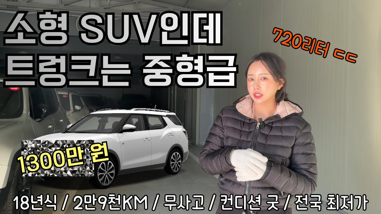 쏘렌토 보다 트렁크 넓은 1000만 원대 소형 SUV 중고차