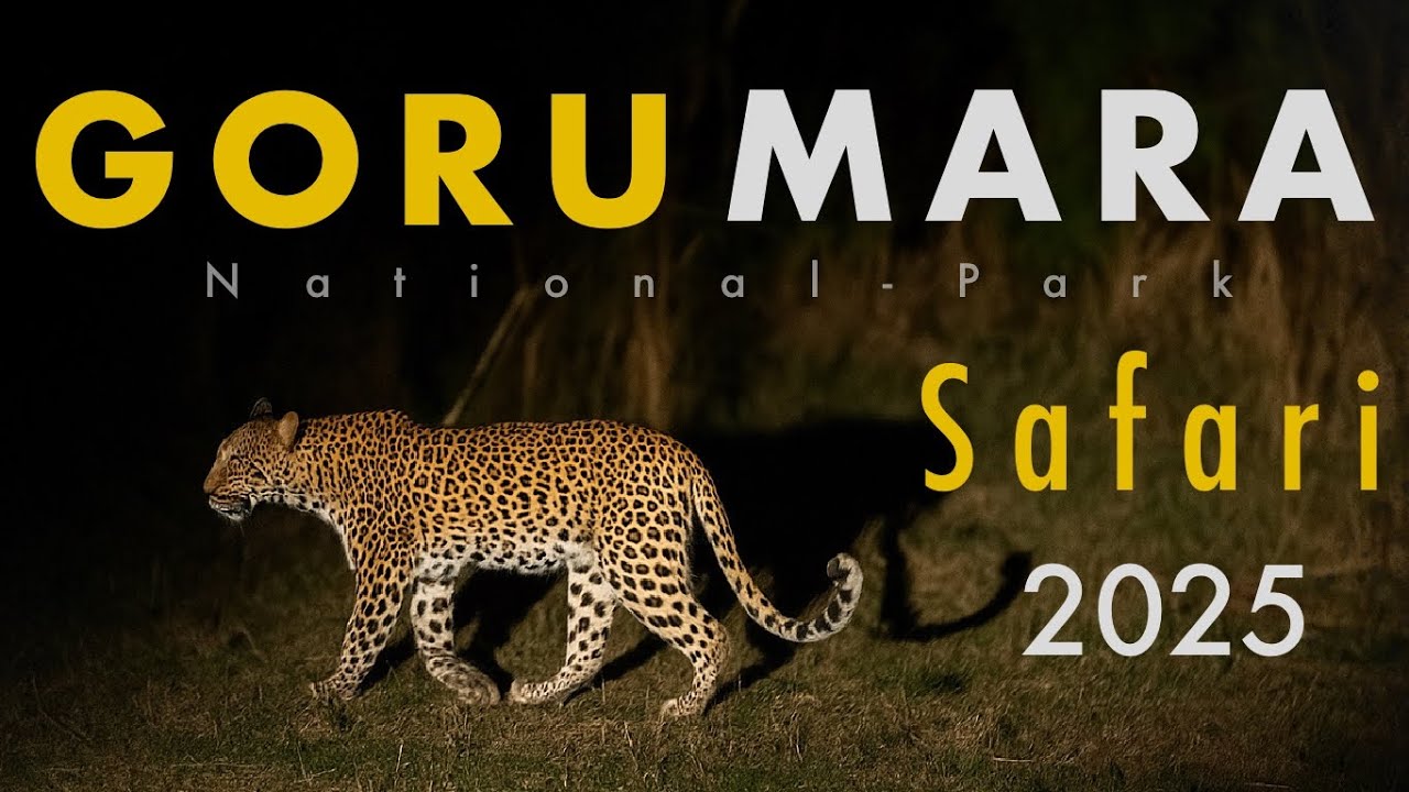 Best jungle Safari in Dooars | Leopard Spotted in Gorumara 🐆 | Lataguri