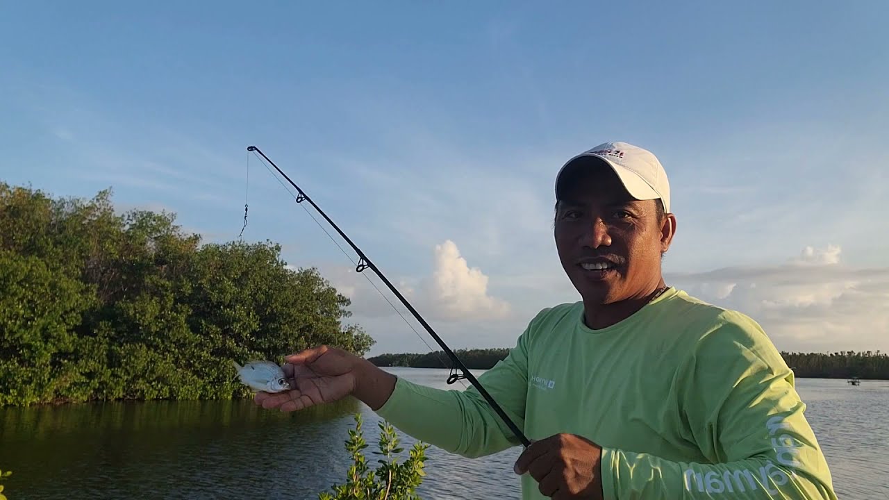 cayman shore fishing
