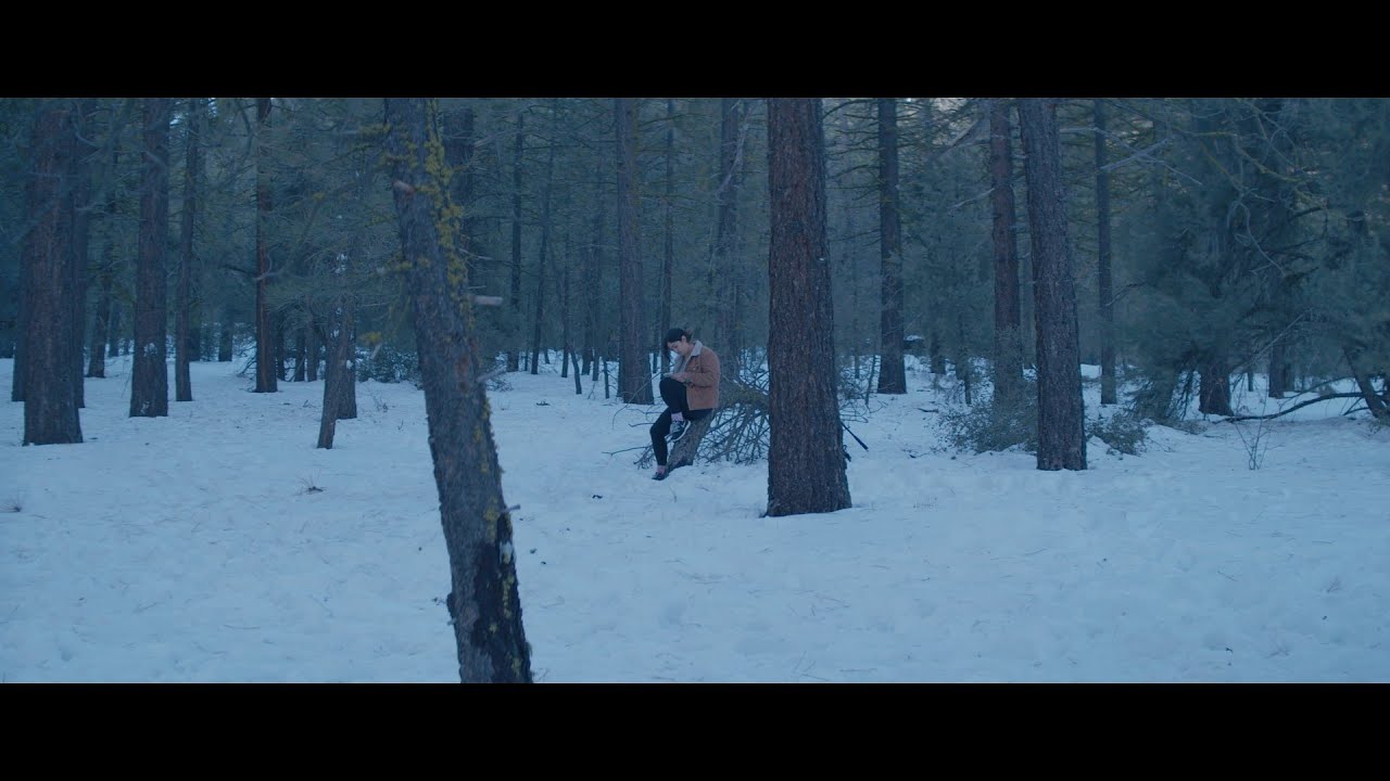 Winter Forest [Cinematic Video]