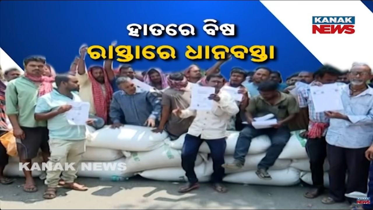 Odisha Mandi Crisis: Farmers Protest on Roads as Kharif Paddy Rotting in Cold & Rain