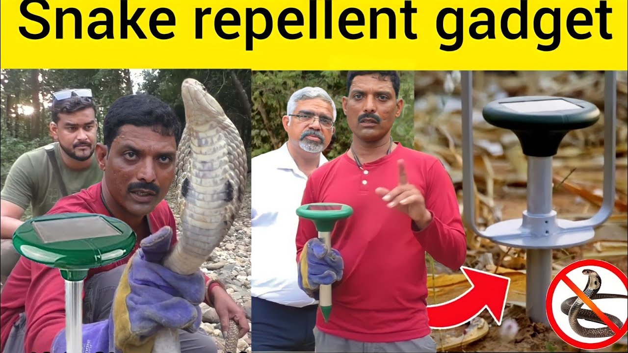 Snake repellent gadget इस गैजेट को खेत में लगाने से सांप दूर भाग जाते हैं। Gadget Keeps Snakes Away