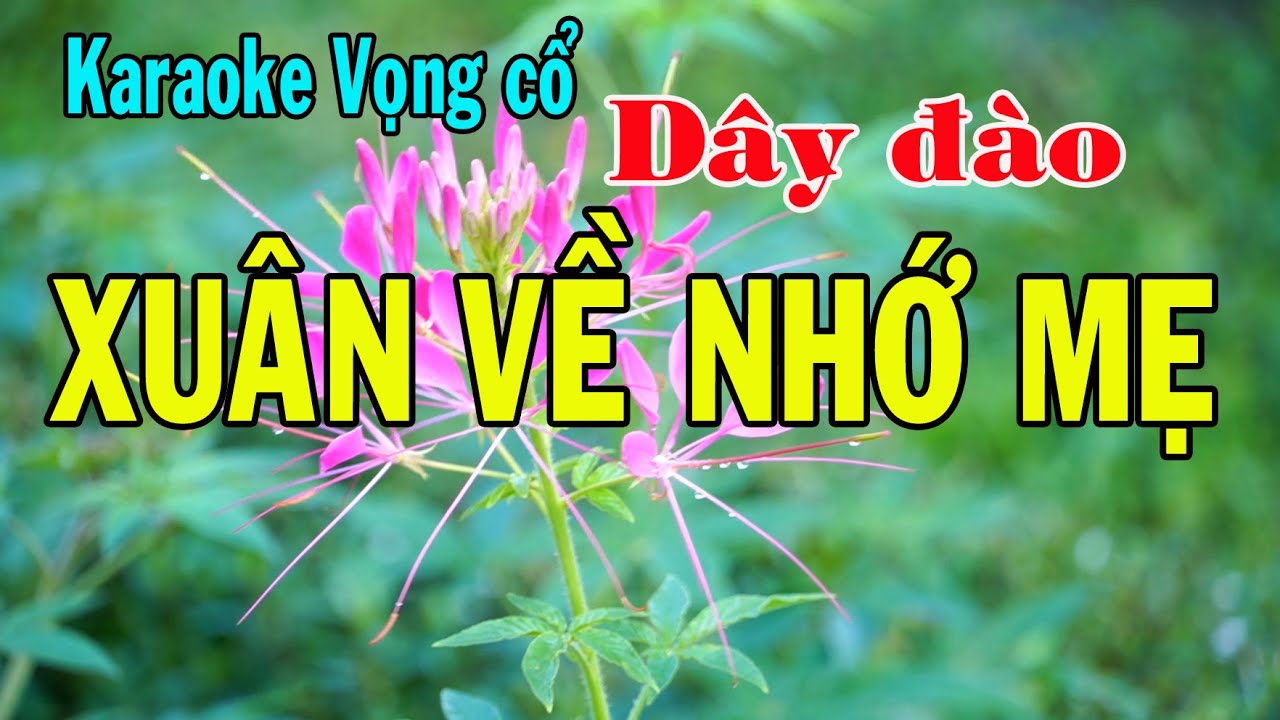 Karaoke vọng cổ XUÂN VỀ NHỚ MẸ - DÂY ĐÀO [T/g Thầy Thanh Vân]