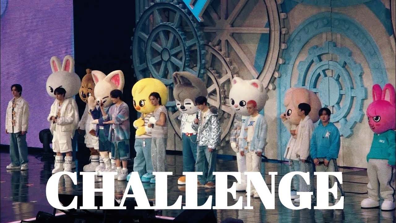 250214 Stray Kids 5th fanmeeting skz 5'clock challenge 스트레이키즈 팬미팅 챌린지 커버 무대 모음