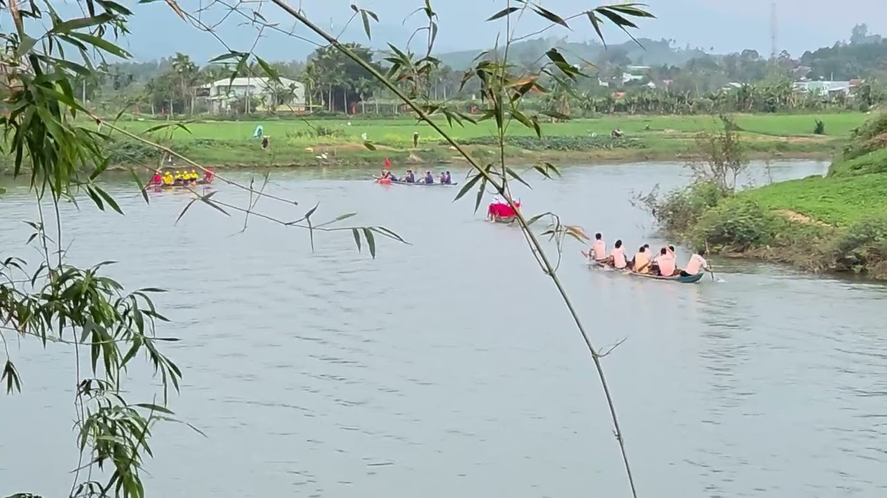 Đua thuyền túy loan 2026 giải hoà bình