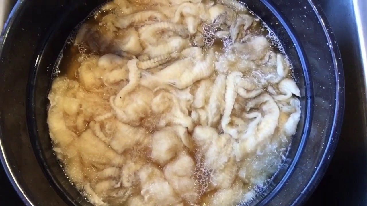 Washing Raw Wool with Tori