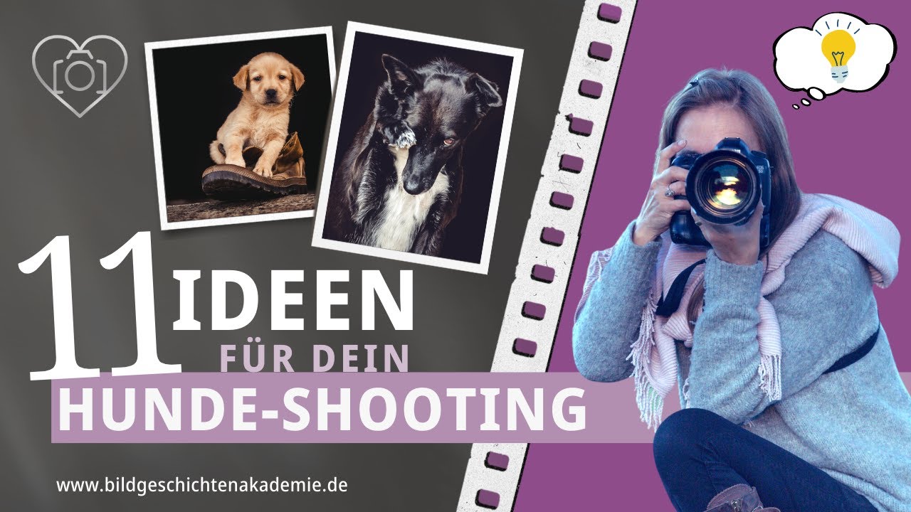 11 Motiv-Ideen Hundefotografie | Inspiration für Dein Fotoshooting