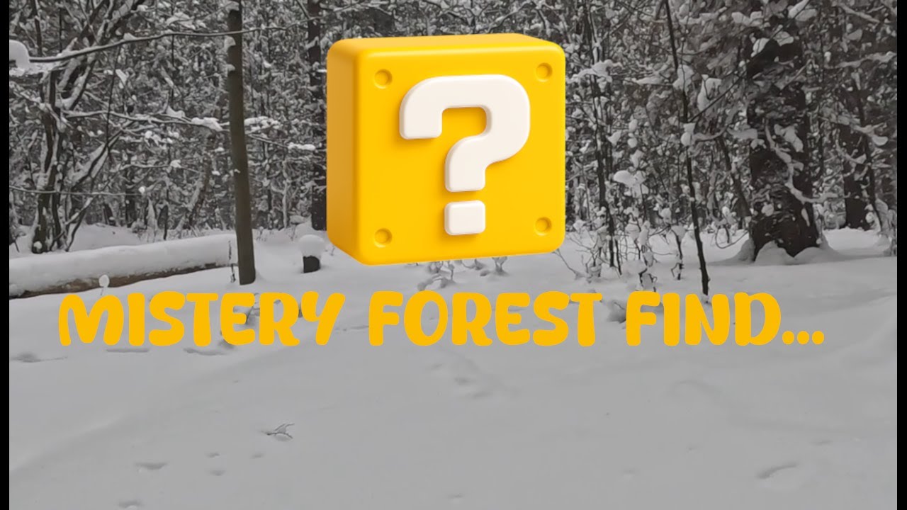 I discovered a mysterious forest structure on this mountain!