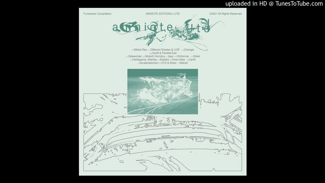 Different Shades & LOIF - Outer Planet [Ute.Rec X Amniote Editions]