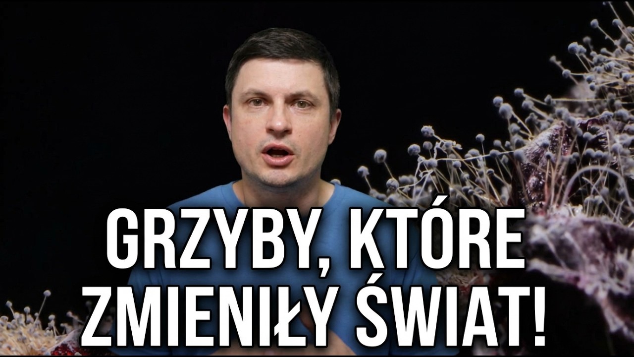 Jak grzyby zmieniły historię życia na Ziemi? Fascynujące odkrycia!