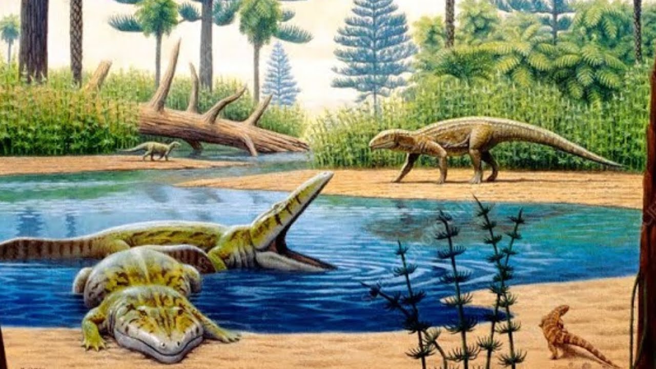 The triassic