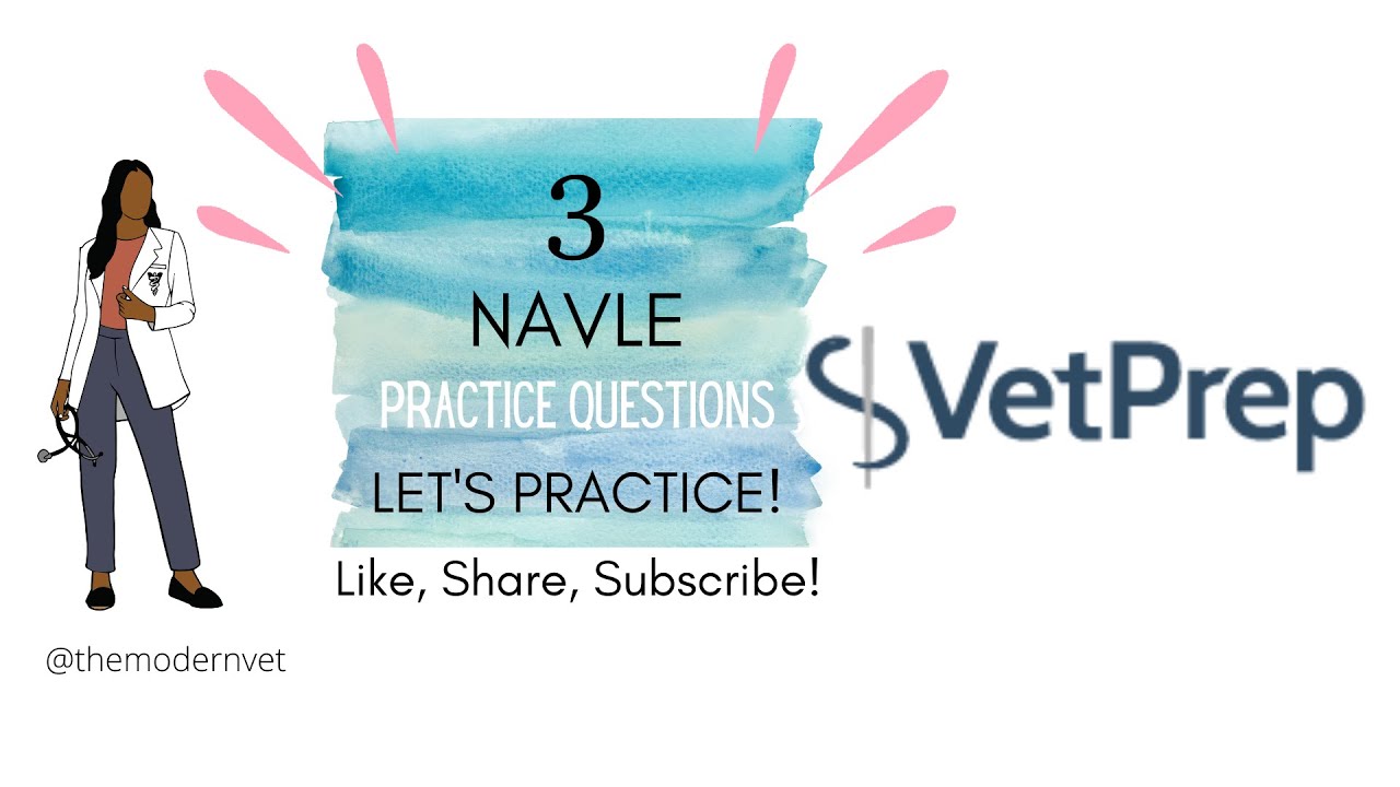 3 NAVLE Practice Questions- HOW TO MASTER THE NAVLE-Tips and Tricks!