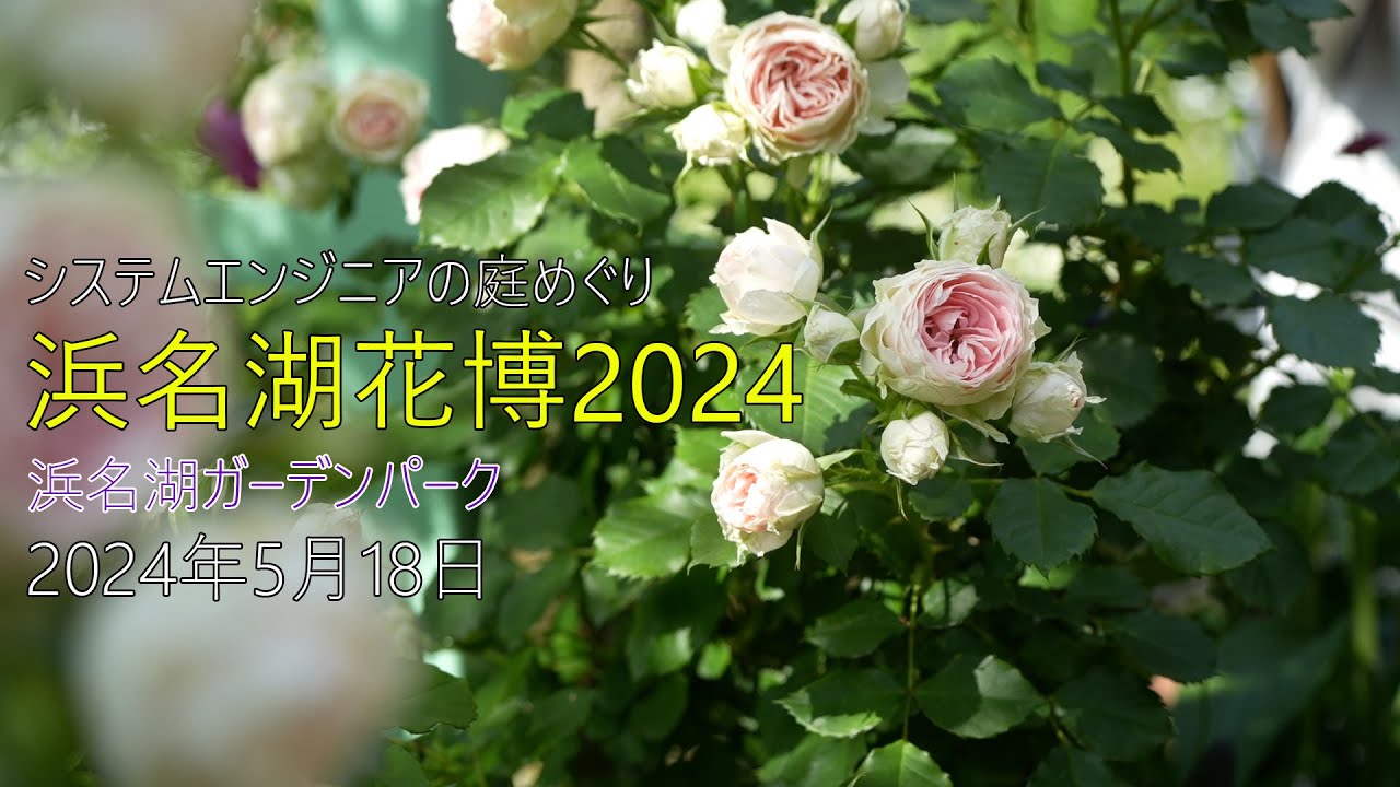 【庭めぐり】浜名湖花博2024 フラワーガーデンコンテスト / 2024年5月18日 / 浜名湖ガーデンパーク【ガーデニング / 園芸 / 庭園 / ガーデン】