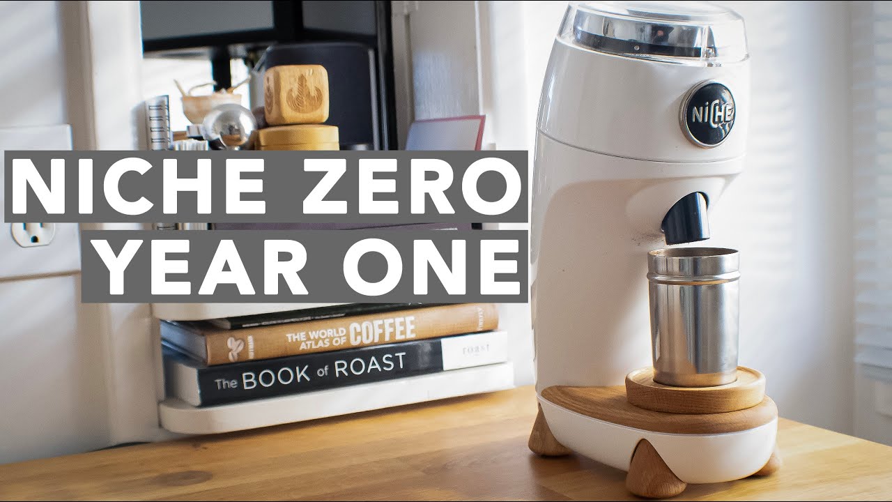 NICHE ZERO - Year One In Review