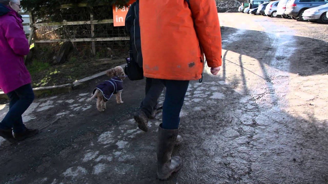 North Clwyd Animal Rescue - Corporate Video