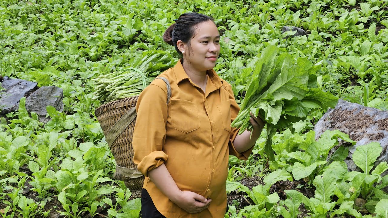 Harvest Green Vegetables Goes To Market Sell - Cooking - Garden / Ly Thi Ca